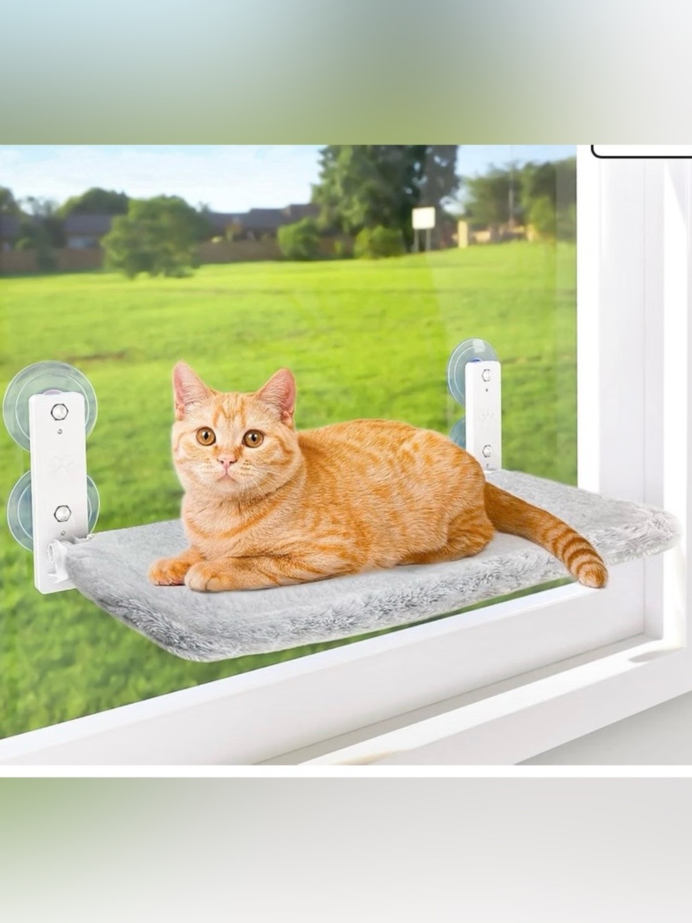 Foldable cat window perch with metal frame
